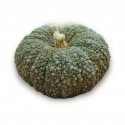 Calabaza totanera