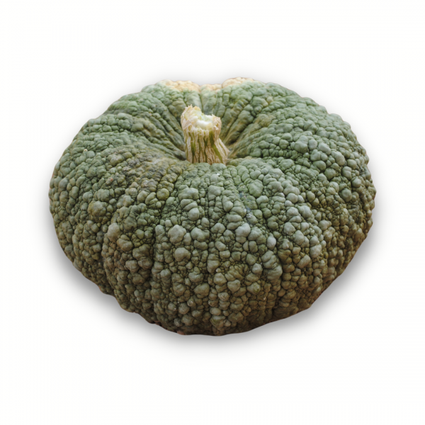 Calabaza totanera