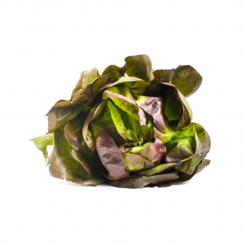 Lechuga baby roja
