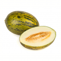 Melón piel de sapo