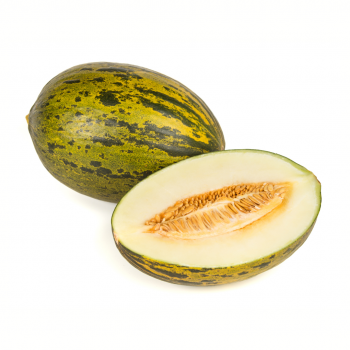 Melón piel de sapo