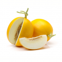 Melón amarillo