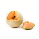 Melón galia