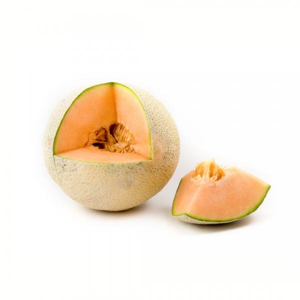 Melón galia