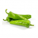 Pimiento olaya italiano