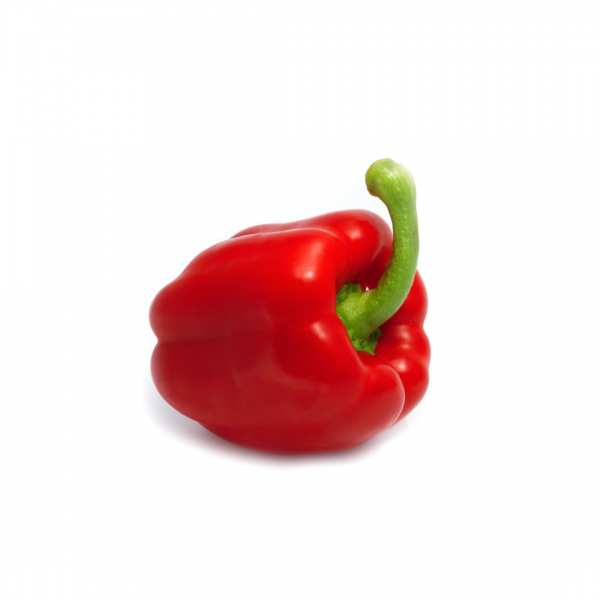 Pimiento lamuyo cascuo