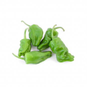Pimiento padrón picante