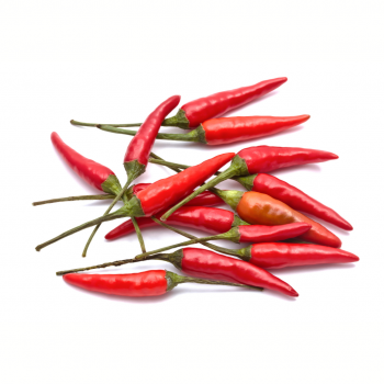 Guindilla roja