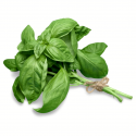 Albahaca hoja fina