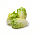 Lechuga baby