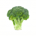 Brócoli