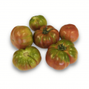 Tomate mucha miel