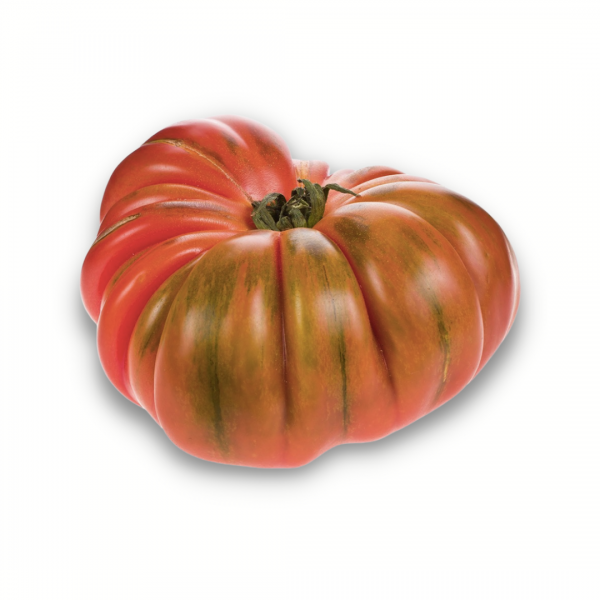 Tomate raf