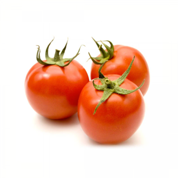 Tomate óptima