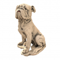Bulldog