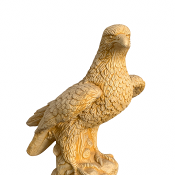 Águila