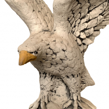 Águila volando