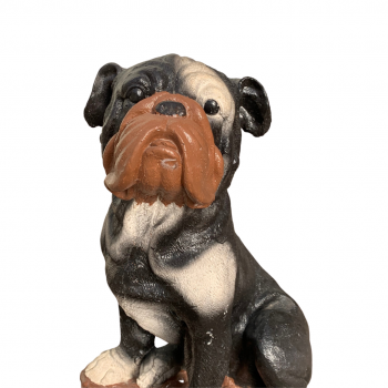 Bulldog