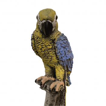Loros