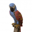 Loros