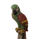 Loros