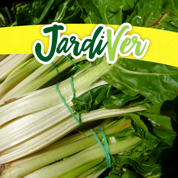 Acelga verde de penca ancha 10gr