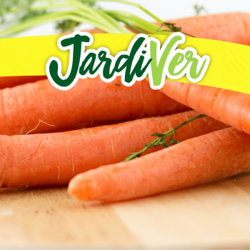 Zanahoria nantesa 8gr