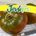 Tomate San Pedro 3gr
