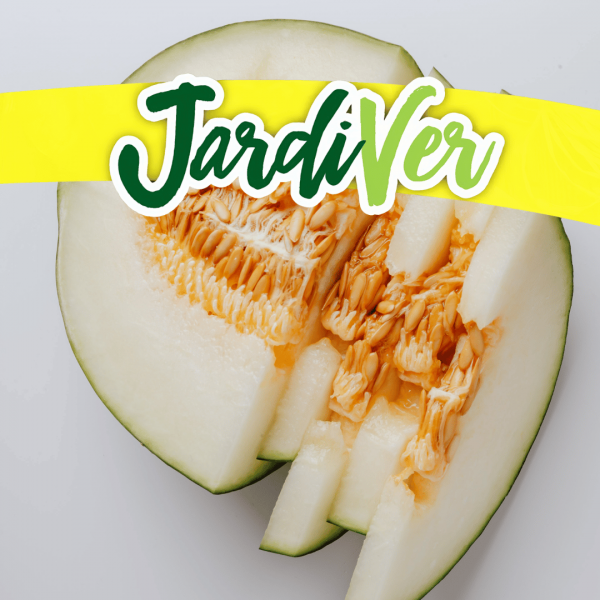 Melón tendral negro 7gr