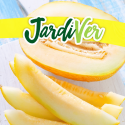 Melón amarillo 5gr
