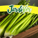 Apio verde 3gr