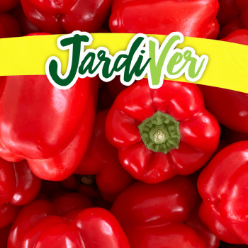 Pimiento infante 1,5gr