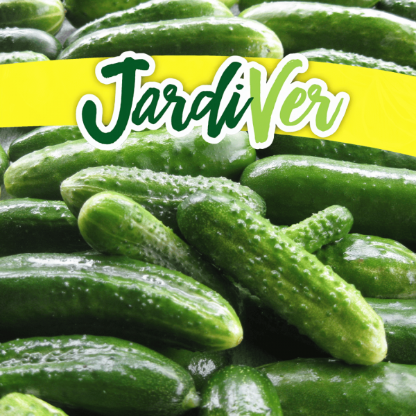 Pepino híbrido F1 0,5gr