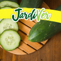 Pepino marketmore 6gr