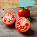 Tomate cherry 1gr