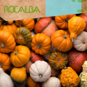 Surtido de calabazas 3gr