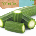 Calabaza luffa 3gr