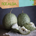 Calabaza cabello de ángel 6gr