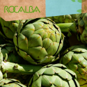 Alcachofa 1gr