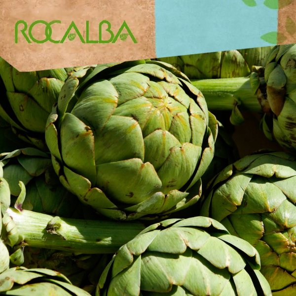 Alcachofa 1gr