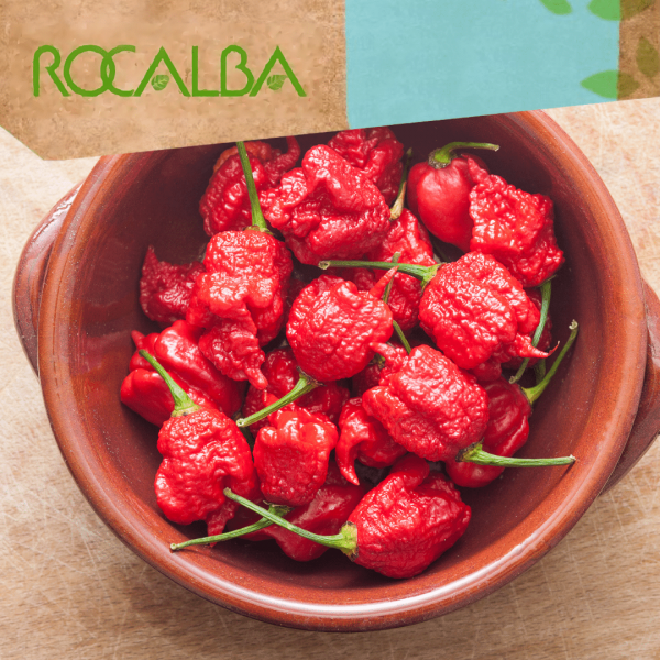 Pimiento picante habanero 0,5gr