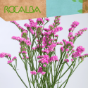Statice sinuata 1gr
