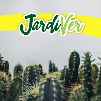 Cactus variados 0,2gr