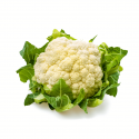 Coliflor